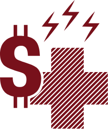 Healthcare Crisis Icon